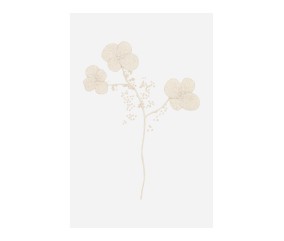 Patron de broderie Fleurs...