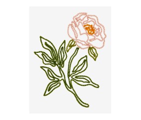 Patron de broderie Pivoine...