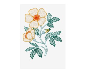 Patron de broderie Rose...