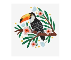 Patron de broderie Toucan sur branche DMC - modèle à télécharger
