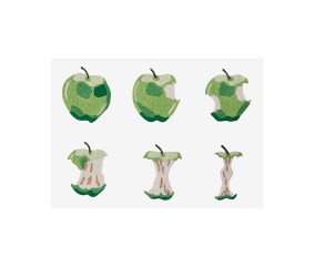 Patron de broderie Pommes croquées par Jodie Ruffle DMC