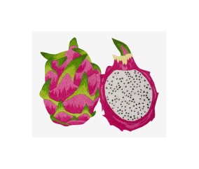 Patron de broderie Fruit du dragon par Jodie Ruffle DMC