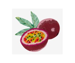 Patron de broderie Fruit de...
