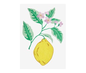 Patron de broderie Citron DMC - modèle à télécharger