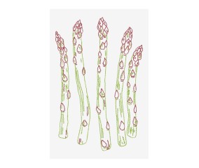 Patron de broderie Asperges...