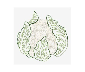 Patron de broderie...