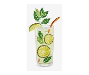 Patron de broderie Mojito DMC - modèle à télécharger