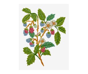 Patron de broderie Branche...