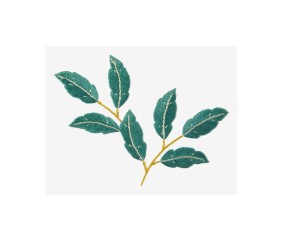 Patron de broderie Branche...