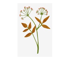 Patron de broderie...