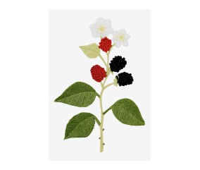 Patron de broderie Mûres...