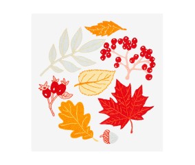 Patron de broderie Feuilles d'automne DMC - modèle à télécharger
