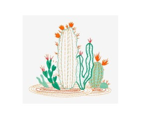 Patron de broderie Cactus sauvage DMC - modèle à télécharger