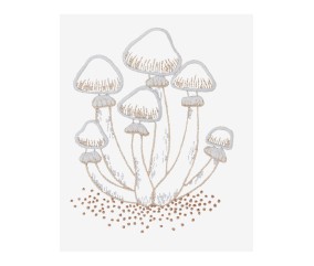 Patron de broderie Grappe...