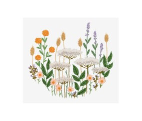 Patron de broderie Prairie...