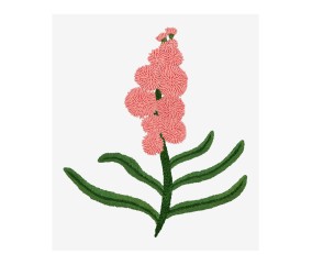 Patron de broderie Giroflée...