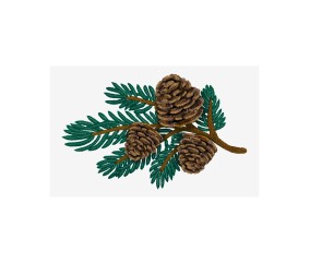 Patron de broderie Branche...