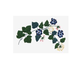Patron de broderie Lierre...