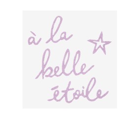 Patron de broderie Message À la belle étoile DMC