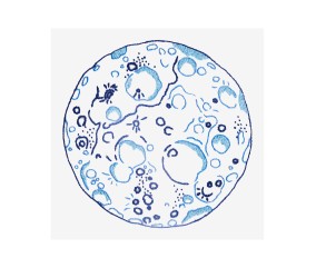 Patron de broderie Pleine lune DMC - modèle à télécharger