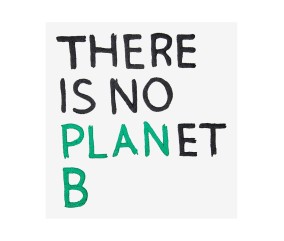Patron de broderie There is no planet B DMC - modèle à télécharger