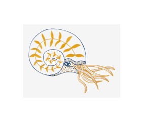 Patron de broderie Nautile...