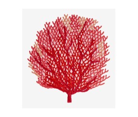Patron de broderie Corail...