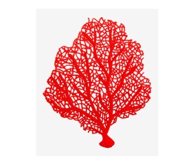 Patron de broderie Corail...