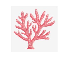 Patron de broderie Corail...