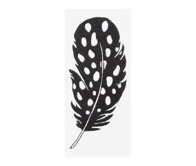 Patron de broderie Plume...