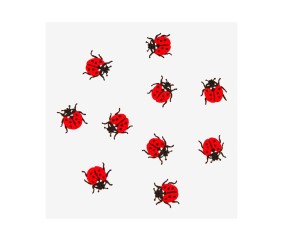 Patron de broderie...