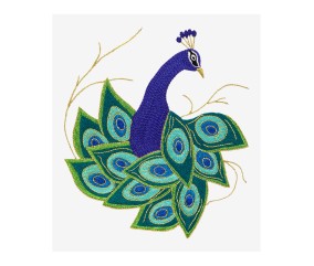 Patron de broderie Paon DMC - modèle à télécharger