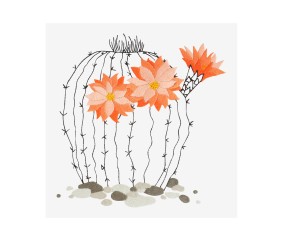 Patron de broderie Cactus en fleurs DMC - modèle à télécharger