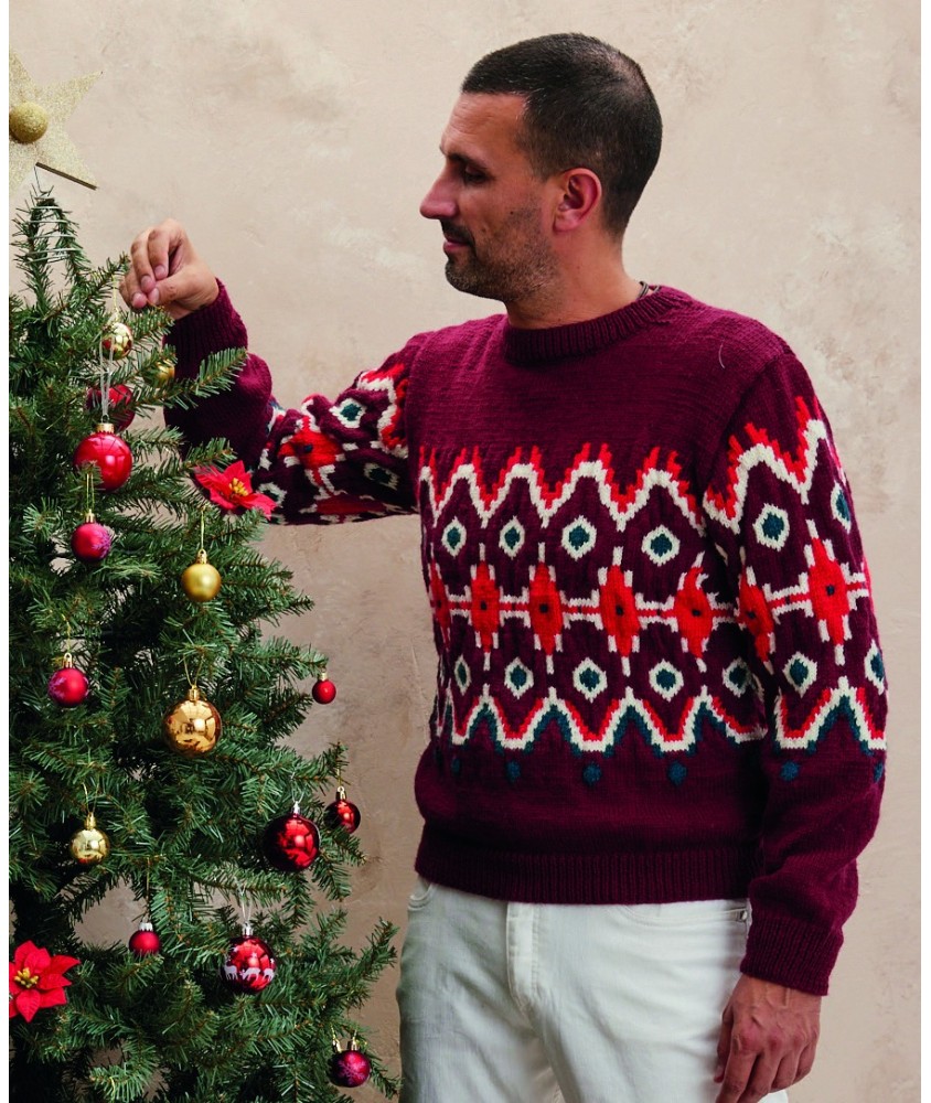 Pull Achille bordeaux à jacquard nordique rouge, écru et paon, porté par un homme - Patron tricot Phildar