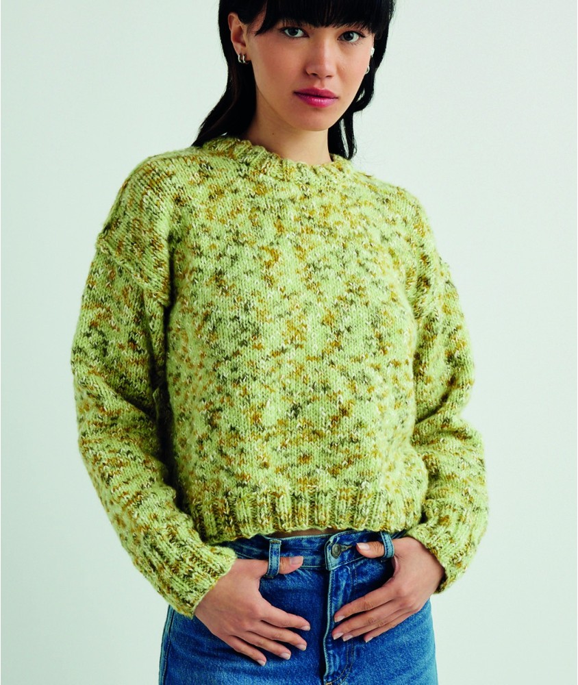 Pull Kjell vert forest en fil moucheté, jersey, col montant et manches longues - Patron tricot Pingouin