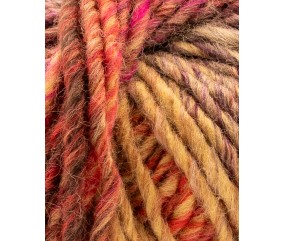Phil Colorbig Phildar - coloris Érable - vue de détail du fil