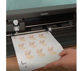 Brother Bellissimo CT1 - découpe de stickers imprimés