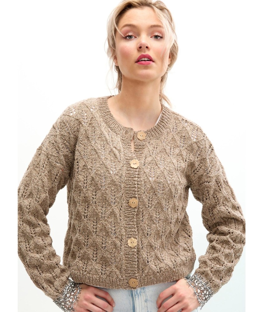 Patron tricot gratuit Gilet ajouré feuilles Edona