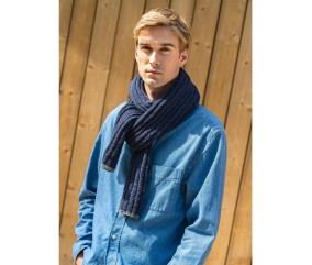 Patron tricot gratuit Echarpe bicolore Manu