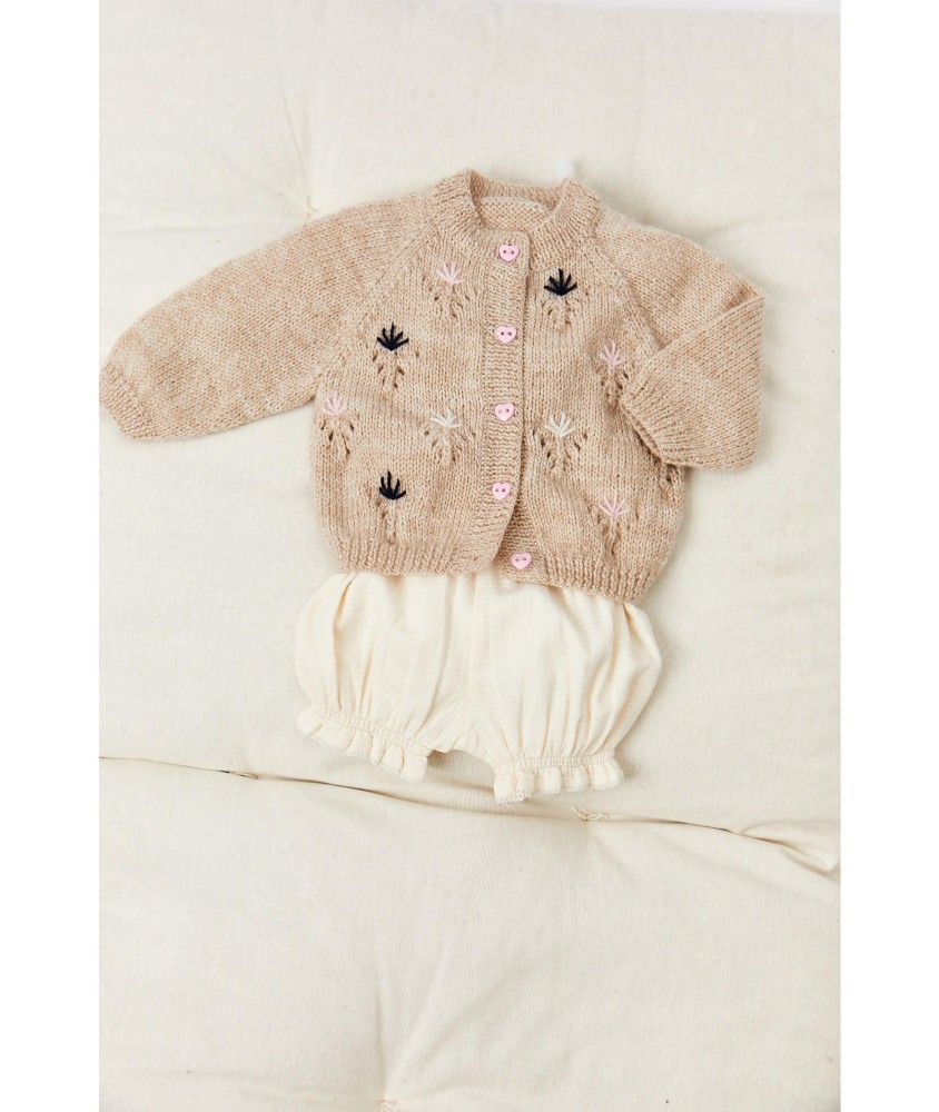 Patron tricot gratuit Gilet raglan ajouré brodé Betty