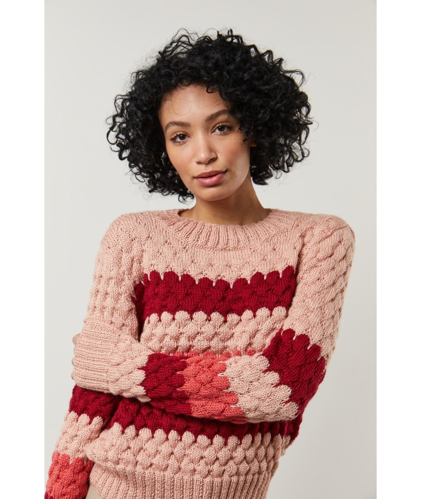 Patron tricot gratuit Pull tricolore fantaisie Iris
