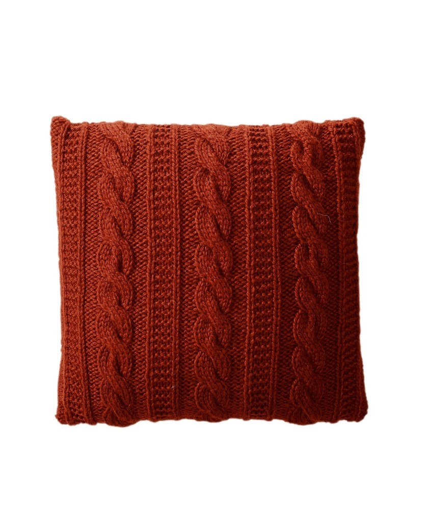 Patron tricot gratuit Coussin à torsades Albin