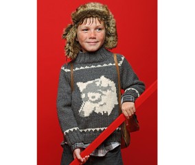 Patron tricot gratuit Pull jacquard Sandric