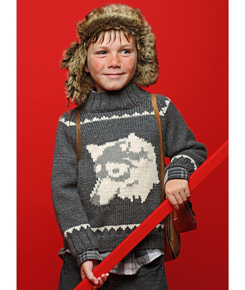 Patron tricot gratuit Pull jacquard Sandric