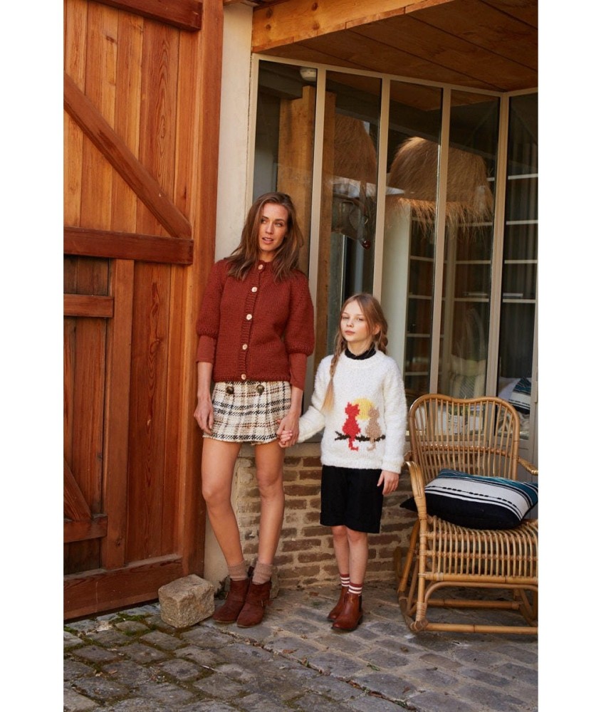 Patron tricot Pull jacquard chat - Bergère de France