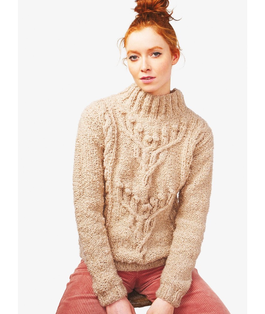Patron tricot Pull motifs torsades - Bergère de France
