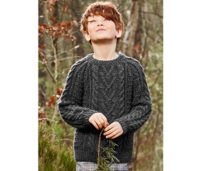 Patron tricot gratuit Pull raglan à torsades