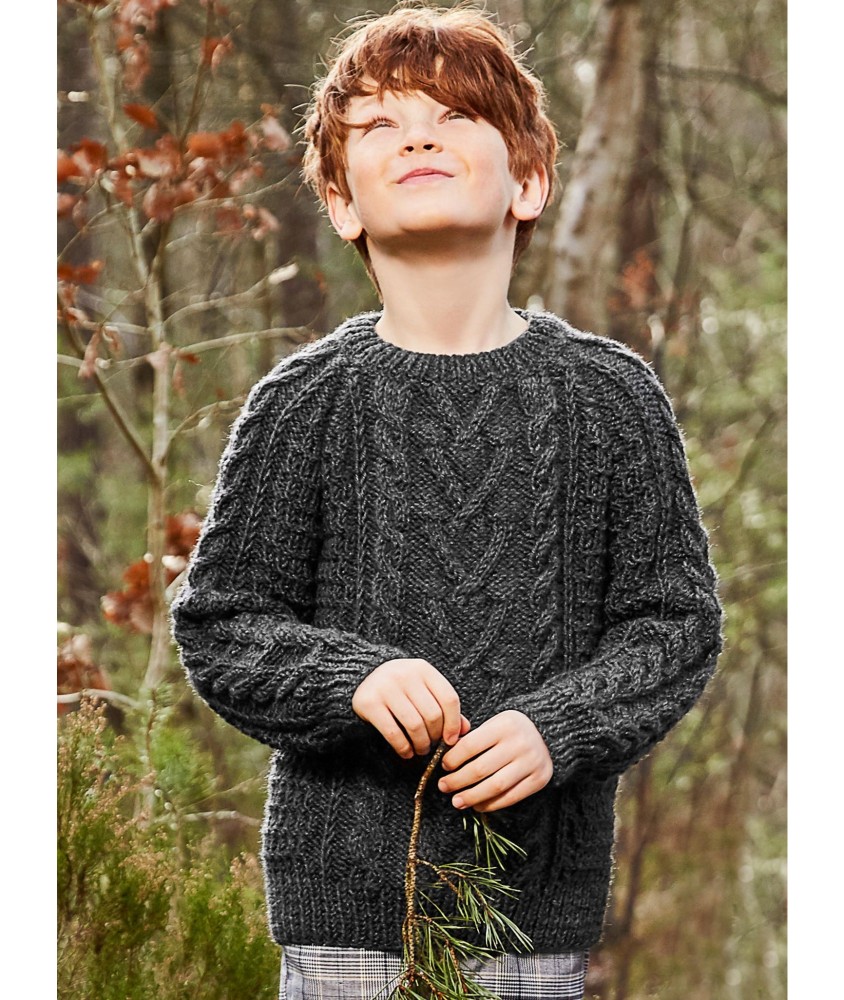 Patron tricot gratuit Pull raglan à torsades
