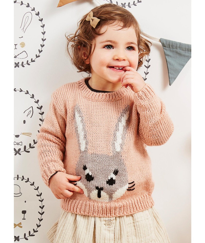 Patron tricot Pull motif lapin - Bergère de France