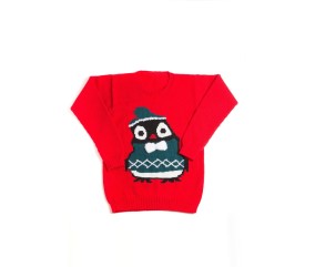 Patron tricot Pull Noël adulte - Bergère de France